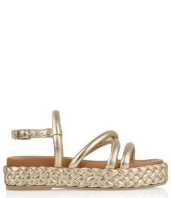 DWRS Cyprus Champagne