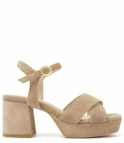 Cassia Six Sierra Noisette