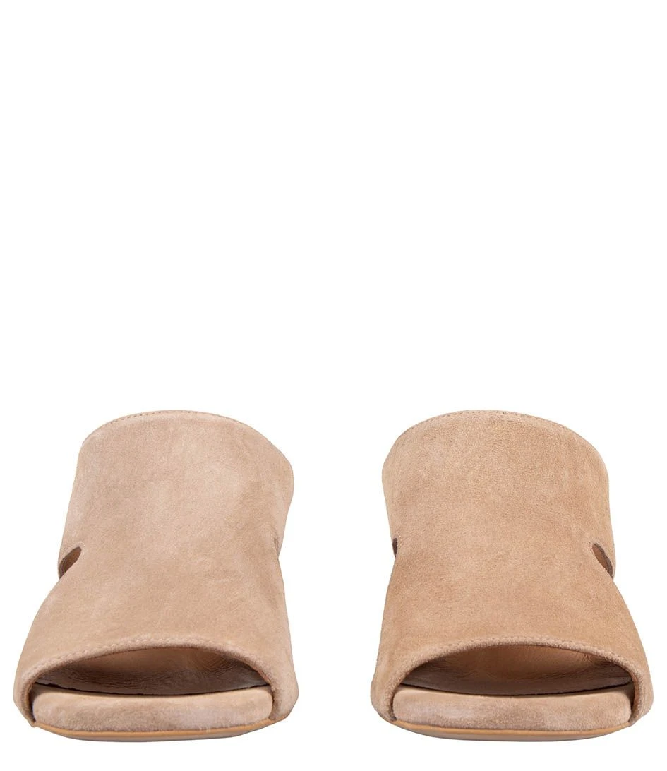 Sierra Noisette 3 Sierra Noisette – Image 3