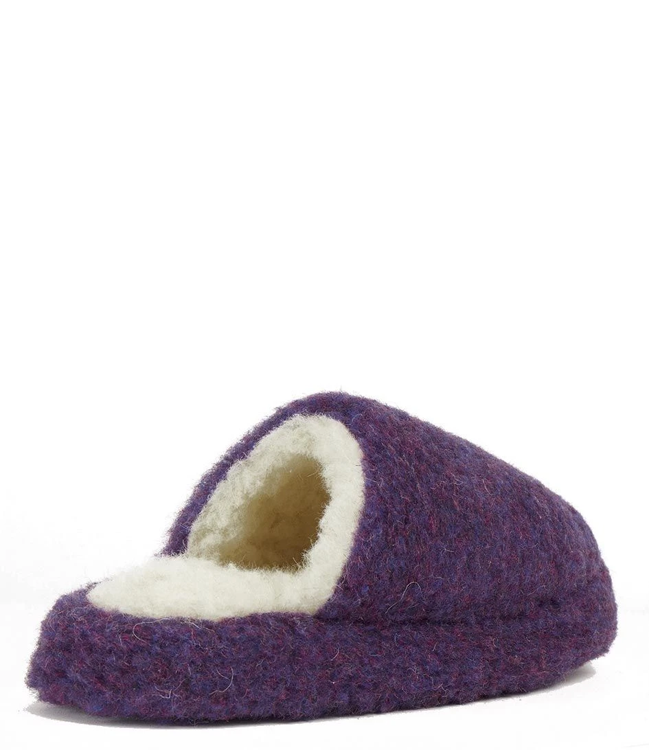 Basic Violet 3 Basic Violet – Image 3