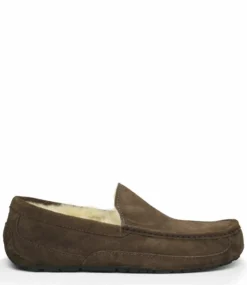 Ugg Ascot Espresso