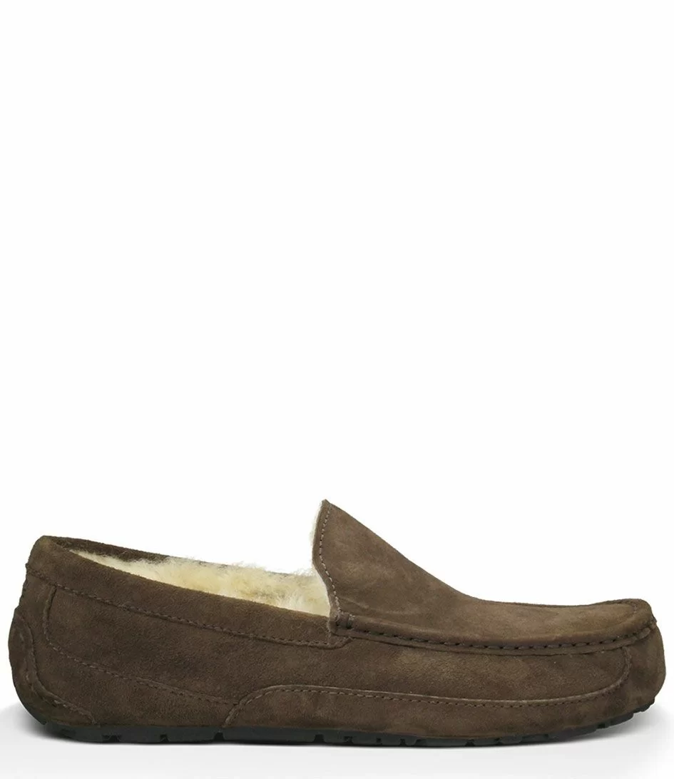 Ugg Ascot Espresso 1 Ugg Ascot Espresso