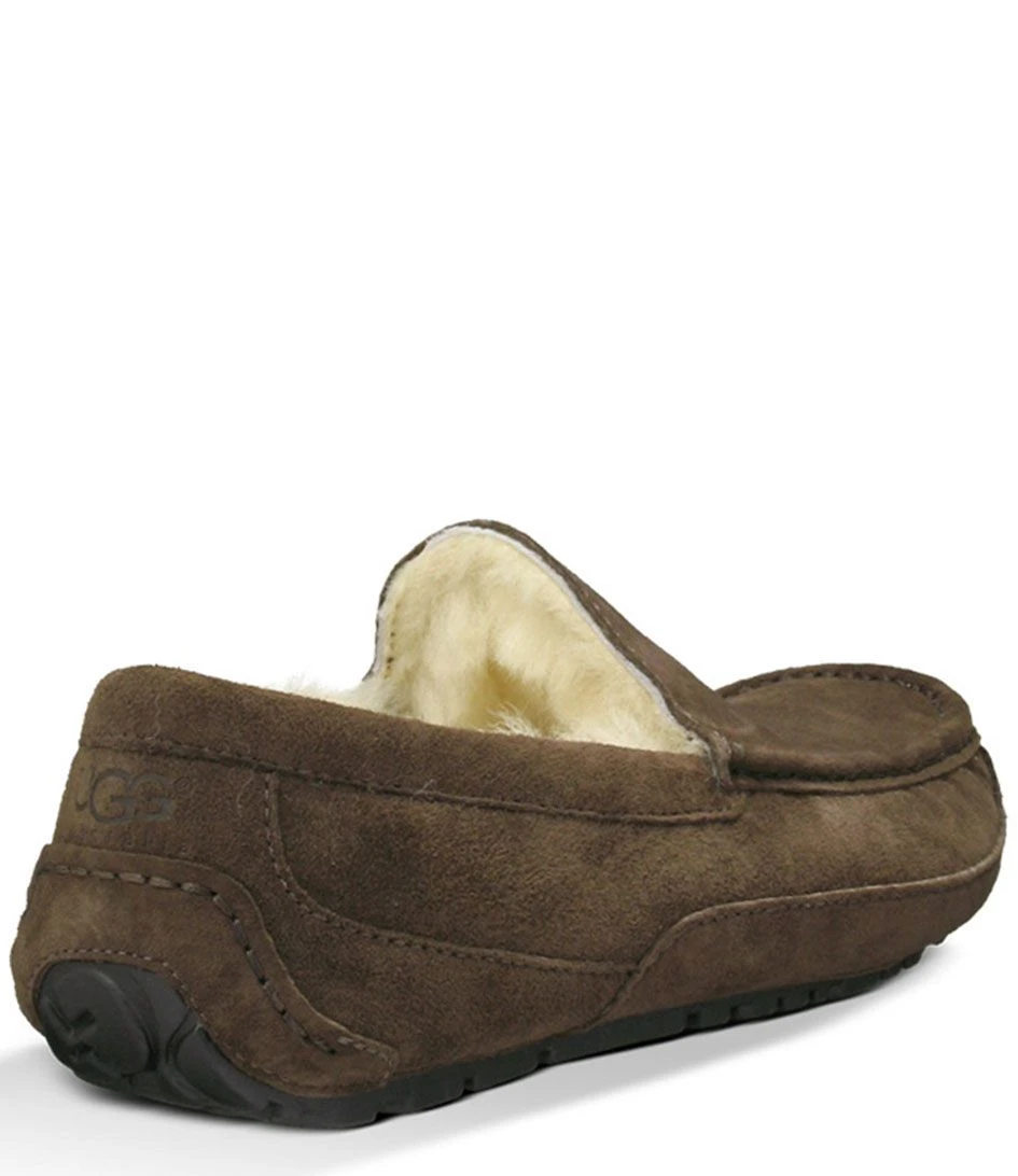 Ugg Ascot Espresso 4 Ugg Ascot Espresso – Image 4