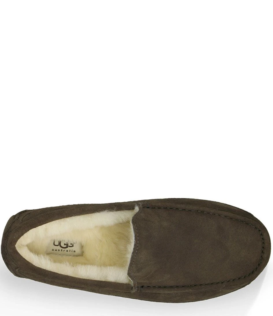 Ugg Ascot Espresso 5 Ugg Ascot Espresso – Image 5
